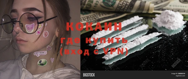 мяу мяу мука Абаза