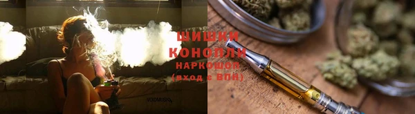 крисы Алзамай