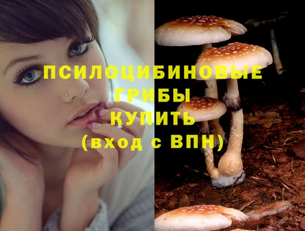 шишки Пестово